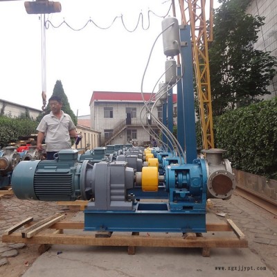 高粘度泵又稱內(nèi)嚙合齒輪油泵 , 該泵可以用作輸送順丁橡膠泵，溶聚丁苯橡膠泵