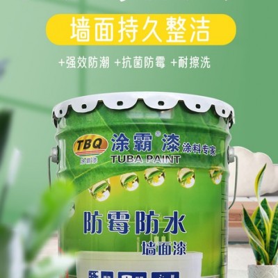 乳膠漆色彩 外墻乳膠漆涂料廠家 外墻乳膠漆批發(fā)