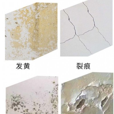 涂霸乳膠漆 內(nèi)墻乳膠漆 家用凈味乳膠漆廠家批發(fā)