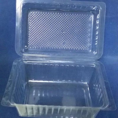 PET水果包裝盒、PET透明蔬菜包裝盒 廣舟吸塑包裝專業(yè)定制果蔬吸塑