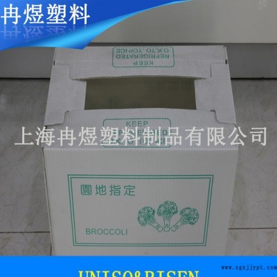 直銷環(huán)保出口塑料中空板箱折疊周轉(zhuǎn)箱 堅固耐用