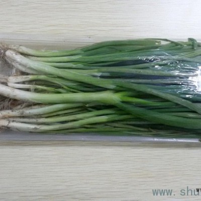 3010  2115  2513D  2013 3010 T-07 PET透明、PP本色常規(guī)吸塑盒上海廣舟吸塑包裝