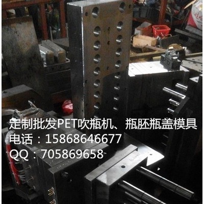 供應(yīng)瓶胚模具，注塑模具