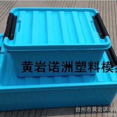 供應諾洲整理箱塑料注塑模具