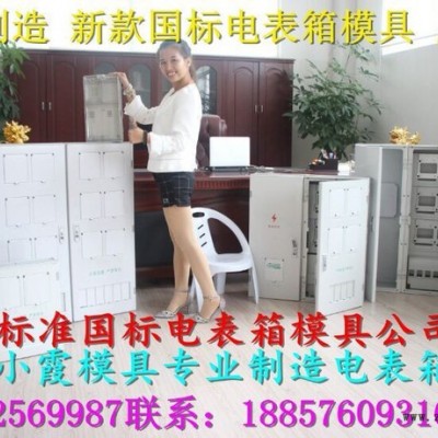 臺(tái)州注塑模具 國網(wǎng)新標(biāo)準(zhǔn)三相1電表箱模具供應(yīng)商地址