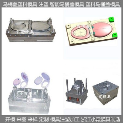 臺州注塑模具廠家 塑膠蹲便器模具塑膠坐便器模具