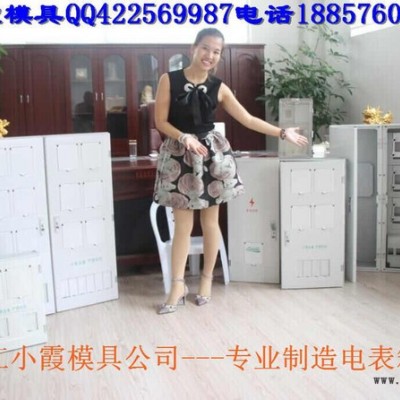 專業(yè)表尾蓋注塑模具，注塑透明表蓋模具 13表電表箱塑膠模具價(jià)位