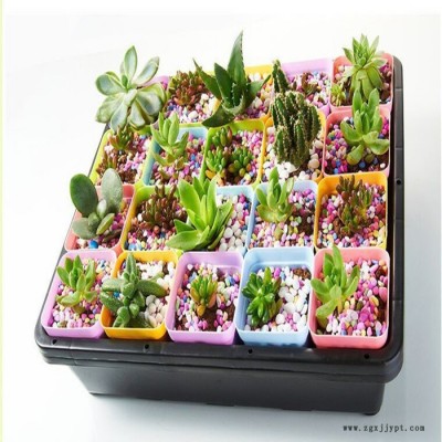 供應各種樣式多肉塑料花盆模具