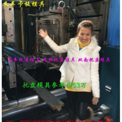 臺(tái)州注塑模具廠 1.5m塑料棧板模具  一米三單面塑膠棧板模具低價(jià)促銷