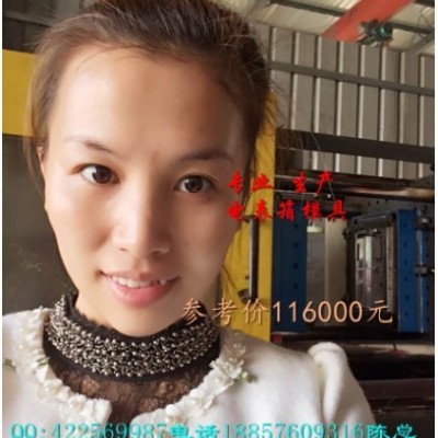 那有變壓器防護(hù)罩塑料模具 配電箱注塑模具 7表電表箱塑料模具報價