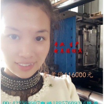 浙江小霞模具，電表箱模具廠家，專業(yè)塑料電表箱模具公司塑料模具