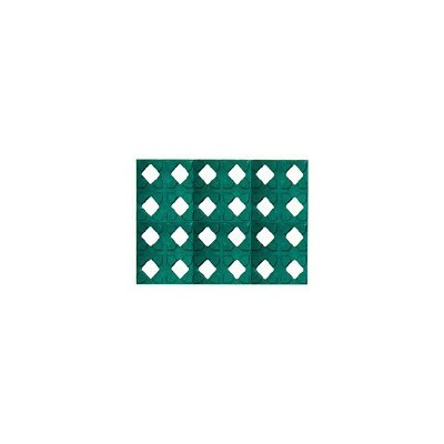 **的植草磚塑料模具