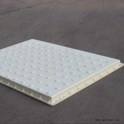 蓋板塑料模具 RPC蓋板模具 銘銀蓋板模具設(shè)計(jì)專(zhuān)業(yè)