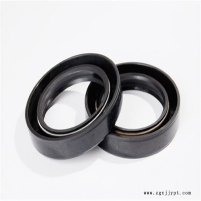 供應(yīng)UNS型密封圈、進(jìn)口密封件    密封環(huán)廠家  密封件批發(fā)  密封件