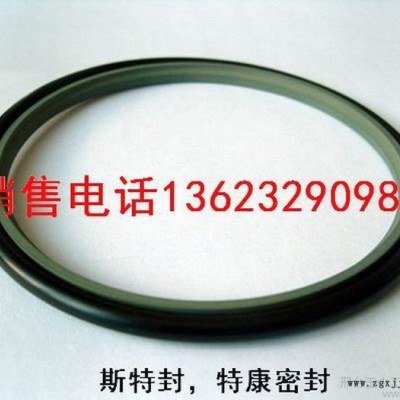 供應(yīng)銷售斯特封密封圈，格萊圈，防塵密封件DKB防塵，機械密封件