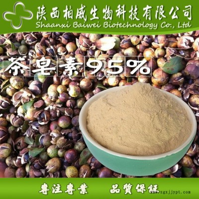 茶皂素 85% 茶樹(shù)籽提取物 發(fā)泡劑 天然表面活性劑