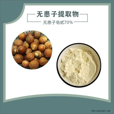 無患子皂甙 天域生物 無患子皂甙10%-70% 洗滌用品發(fā)泡劑 現(xiàn)貨供應(yīng)