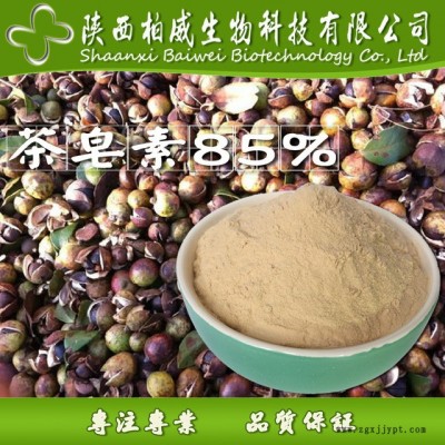茶皂素 茶樹(shù)籽提取物 發(fā)泡劑 天然非離子表面活性劑 現(xiàn)貨批發(fā)價(jià)格 柏威