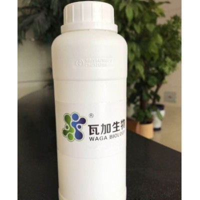 安徽知名水性木器漆專用抗菌劑廠家直供 推薦咨詢 上海瓦加生物科技供應