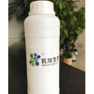 廣東專業(yè)粉末涂料抗菌劑制造廠家 創(chuàng)造輝煌 上海瓦加生物科技供應(yīng)