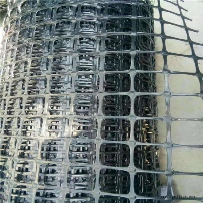 龍潤(rùn)廠價(jià)直銷高強(qiáng)度雙向塑料拉伸土工格柵雙向格柵塑料格柵含炭黑格柵