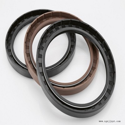 FP Paris  活塞密封件 材質(zhì)是丁腈橡膠