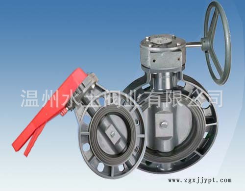 5.1蝸輪塑料蝶閥