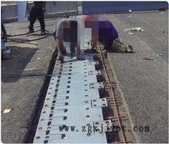 新聞：河南駐馬店MZL伸縮縫廠家—駿鴻集團(tuán)