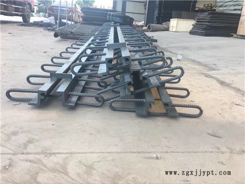 新聞：河南駐馬店MZL伸縮縫廠家—駿鴻集團(tuán)