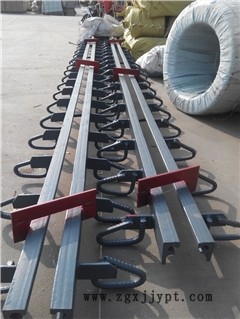 新聞：廣東珠海毛勒伸縮縫安裝隊(duì)伍