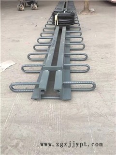 新聞:福建三明毛勒伸縮縫廠家—駿鴻集團(tuán)