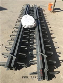 新聞:福建三明毛勒伸縮縫廠家—駿鴻集團(tuán)