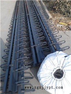 新聞：湖北咸寧公路橋梁伸縮縫廠家報價單