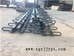 新聞：安徽六安D80伸縮縫安裝隊伍