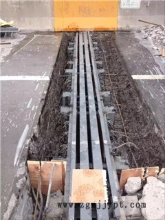 新聞:云南楚雄D80伸縮縫廠家駿鴻廠家批發(fā)