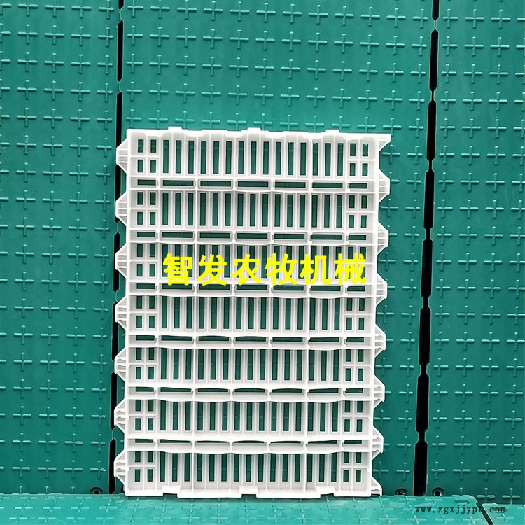 47087172.jpg 123.jpg