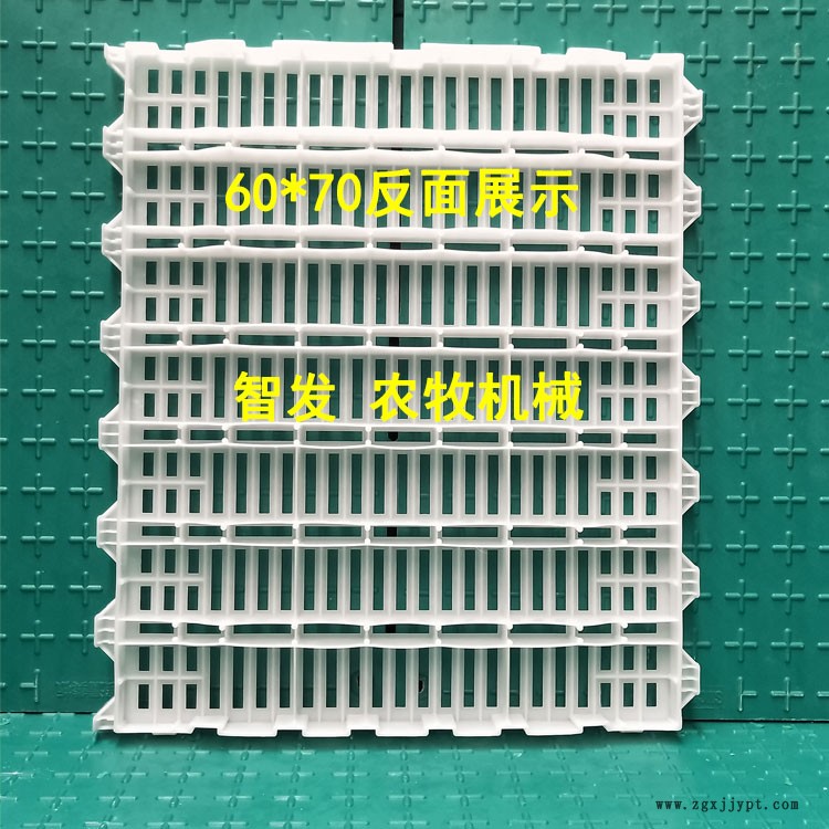 07064402.jpg 111.jpg