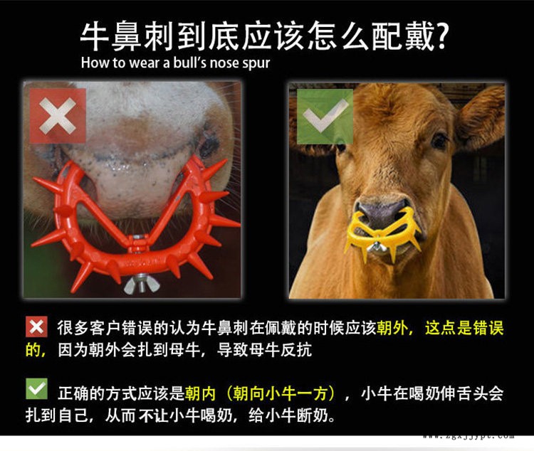 牛鼻刺CB詳情頁 (1).jpg