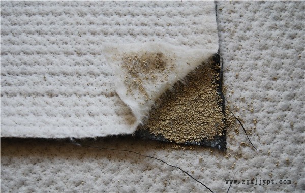 05072294.jpg 防水毯50023.jpg