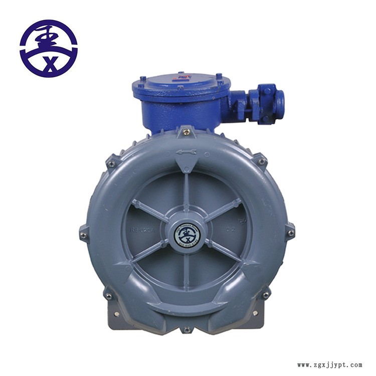 沼氣/天然氣體專用高壓防爆氣泵，防爆漩渦氣泵示例圖6