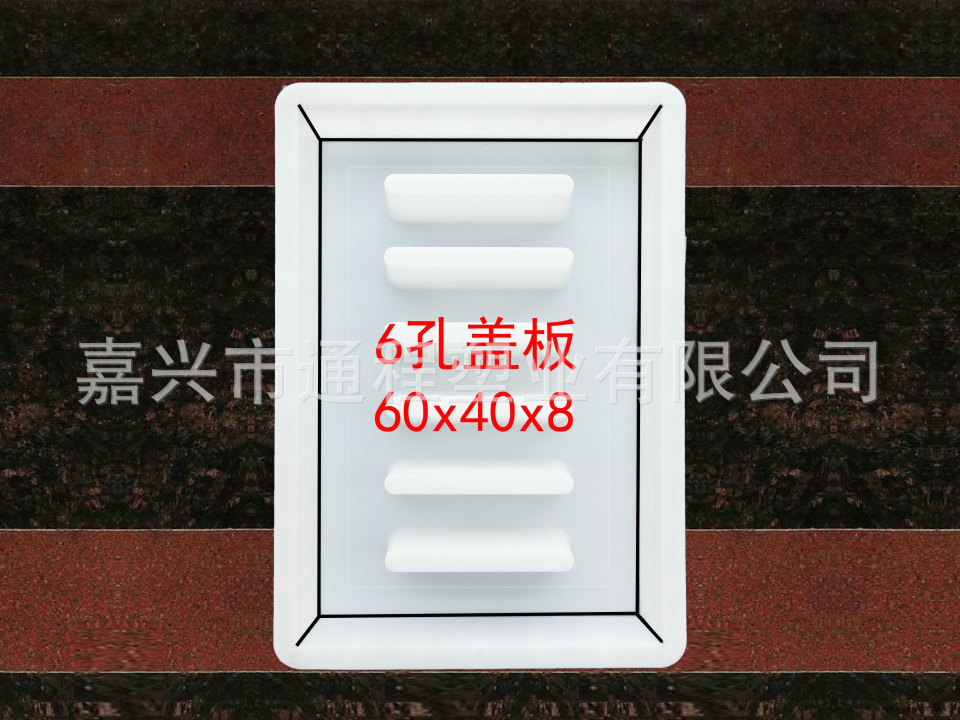 6孔蓋板60<i></i>x40x8