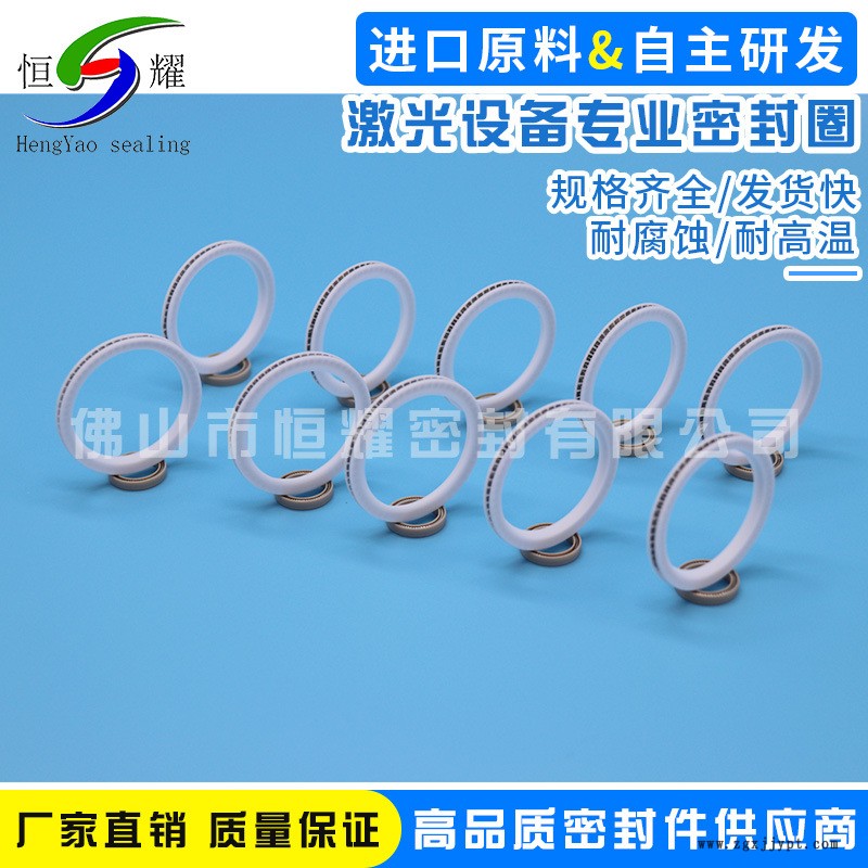 專業(yè)激光設(shè)備密封件 機(jī)械密封圈 優(yōu)質(zhì)密封件 激光設(shè)備專業(yè)密封圈示例圖6