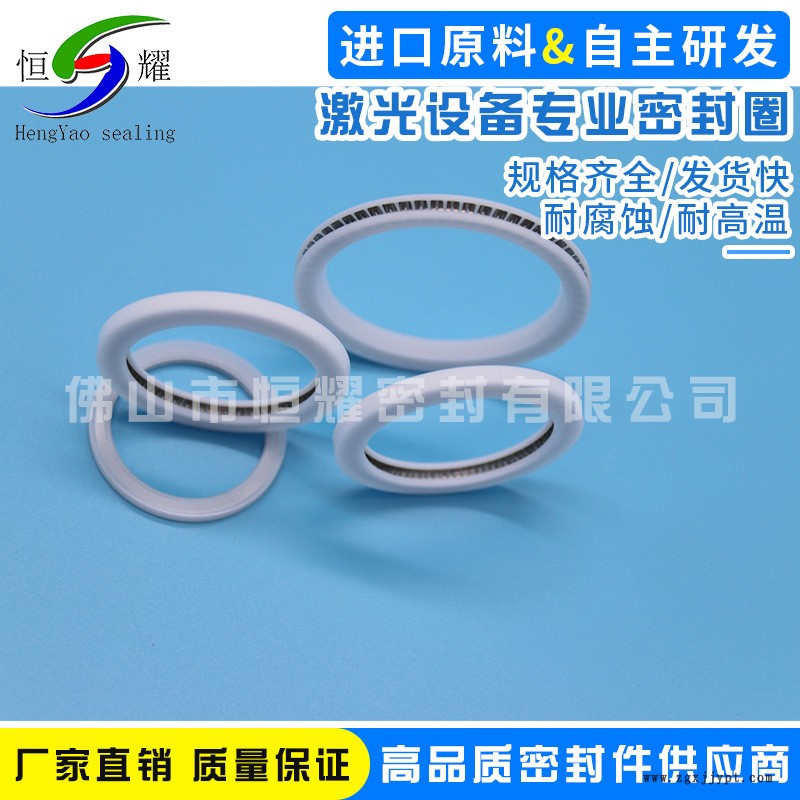 專業(yè)激光設(shè)備密封件 機(jī)械密封圈 優(yōu)質(zhì)密封件 激光設(shè)備專業(yè)密封圈示例圖2