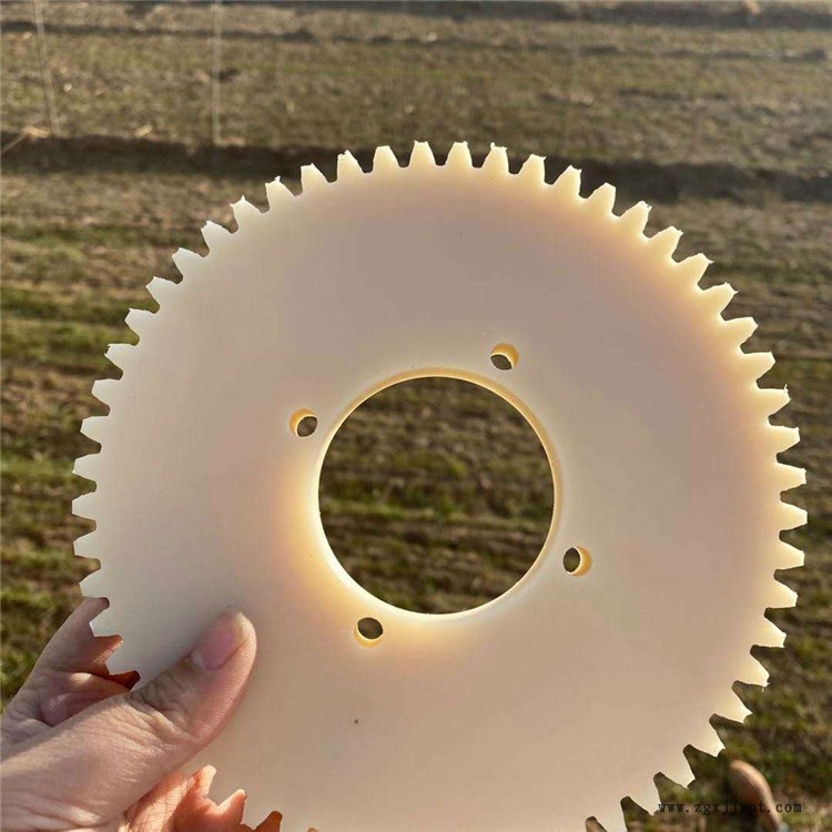 得瑞工程 裝機(jī)用尼龍軸承 PA66尼龍齒輪  現(xiàn)貨供應(yīng)