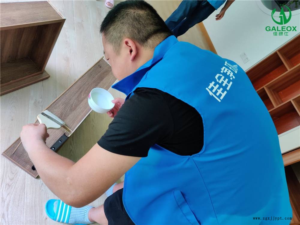 佳綠仕-新居除甲醛甲醛除味劑-招代理商