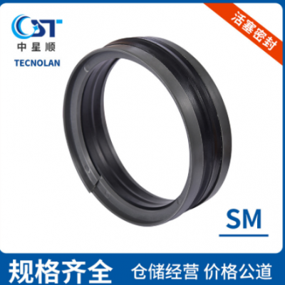 活塞密封TECNOLAN密封件工程機(jī)械密封件氣動活塞密封液壓密封件