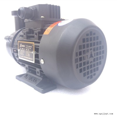 高溫?zé)釋?dǎo)油泵WM-05S-200奧蘭克增壓泵 模溫機泵