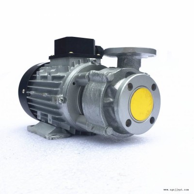 YS-20B泵 750W高溫導(dǎo)熱油泵 模溫機(jī)熱泵 元新水泵