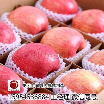 木瓜包裝網(wǎng)套機(jī)，蘋果網(wǎng)套機(jī)，珍珠棉機(jī)