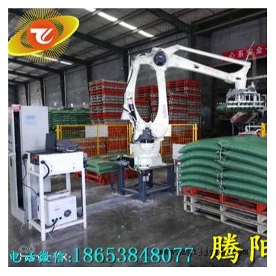 騰陽非標(biāo)全自動碼垛機(jī)袋裝碼垛機(jī)碼垛機(jī)械手
